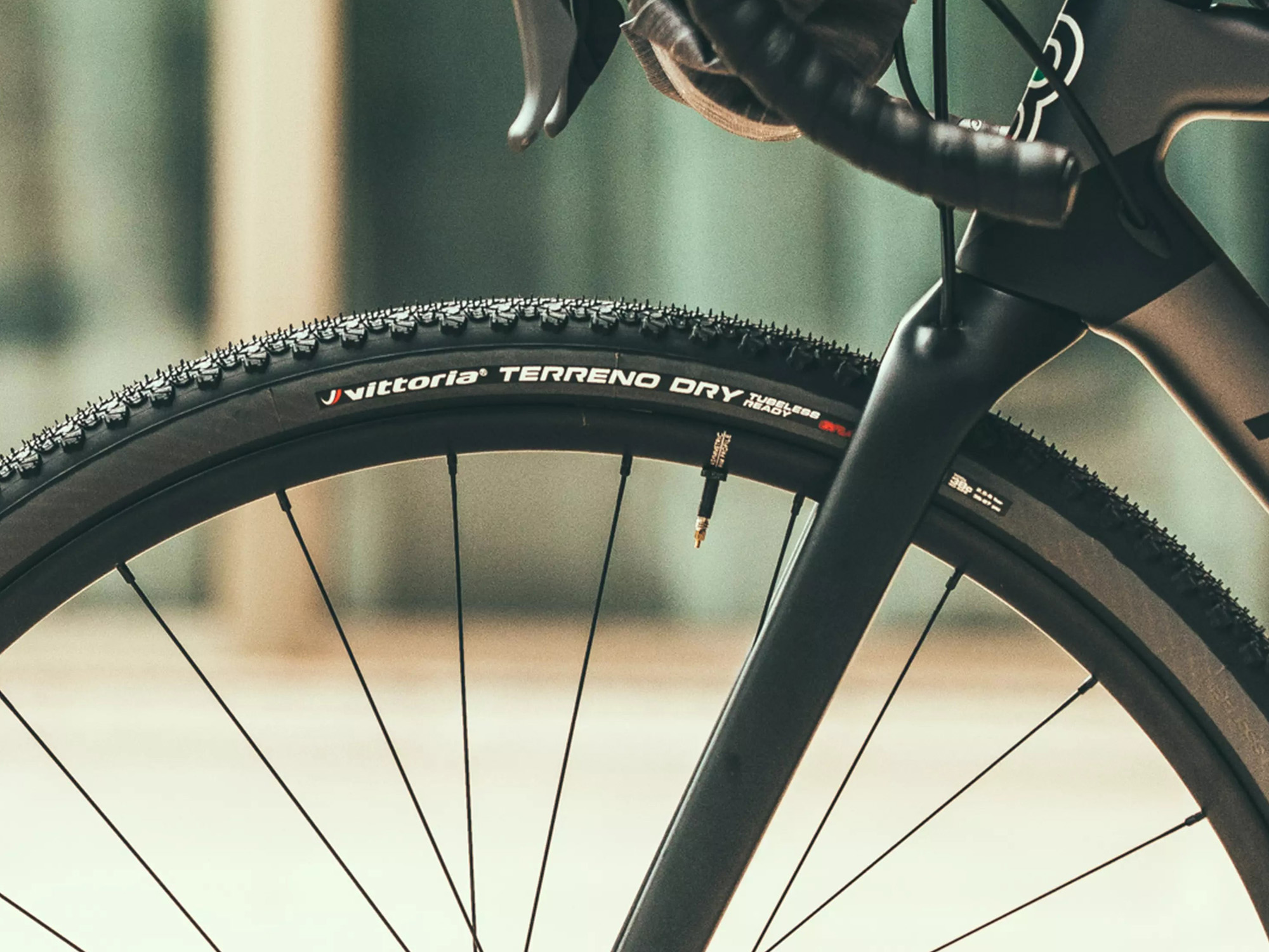 Vittoria Terreno Dry grå dekk