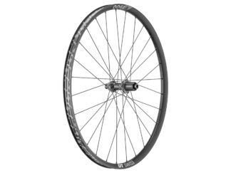 DT Swiss E 1900 Spline DB CL 12x148mm HG hjul bak