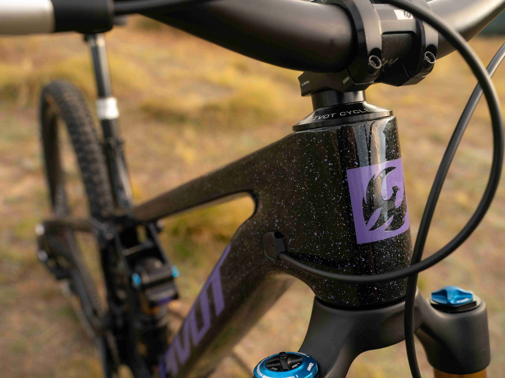 Pivot Firebird v5 PRO XT/XTR fulldempet yolo - Bilde 10