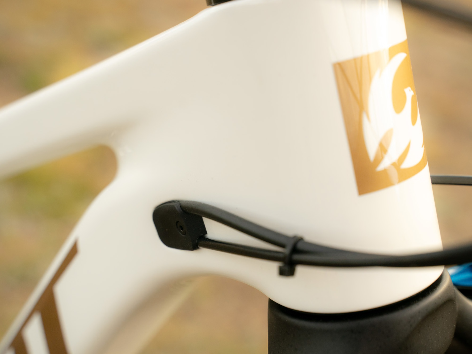 Pivot Firebird v5 PRO XT/XTR fulldempet yolo - Bilde 6