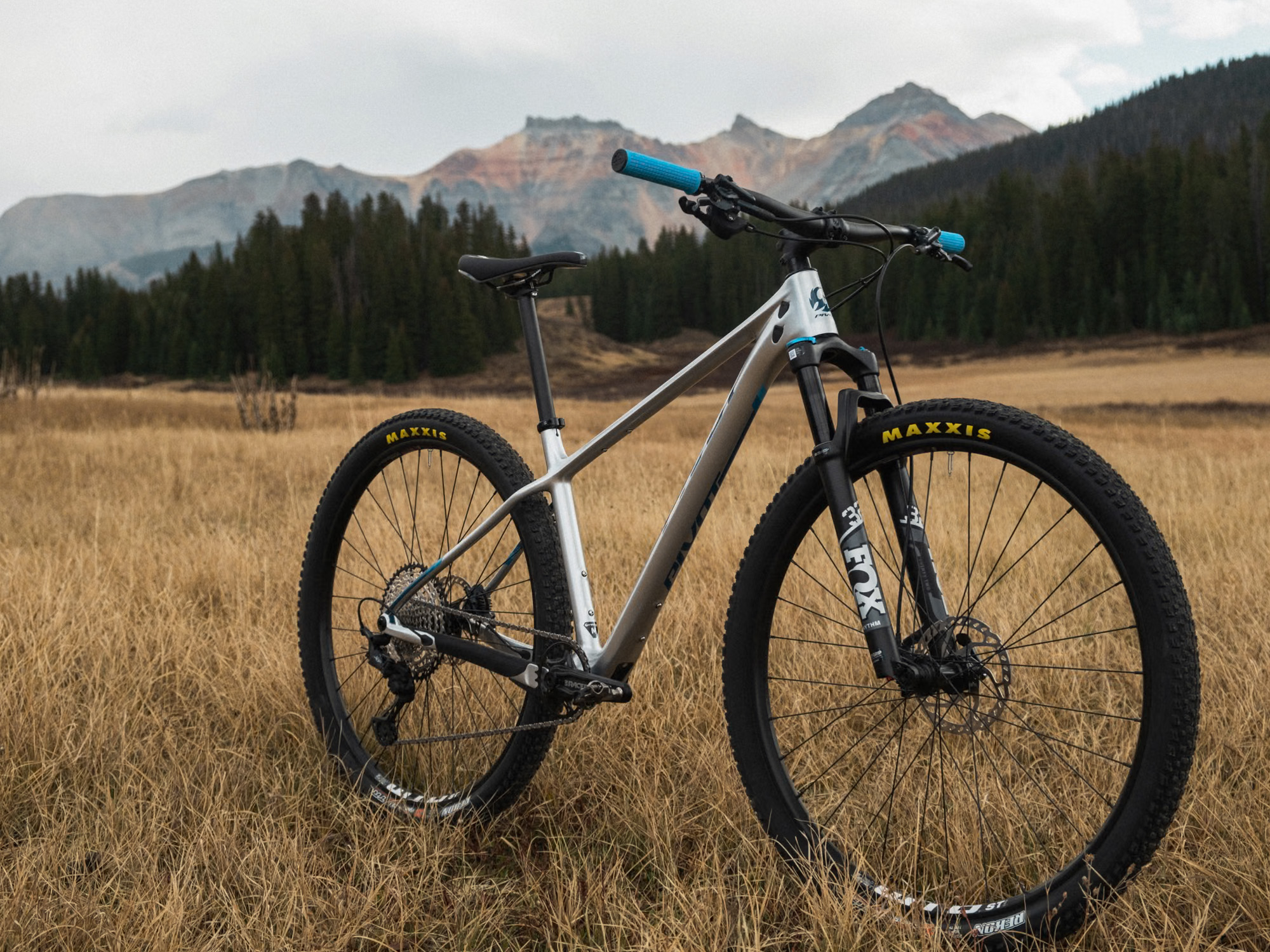 Pivot Les SL Team XX Eagle Transmission hardtail silver bullet - Bilde 10