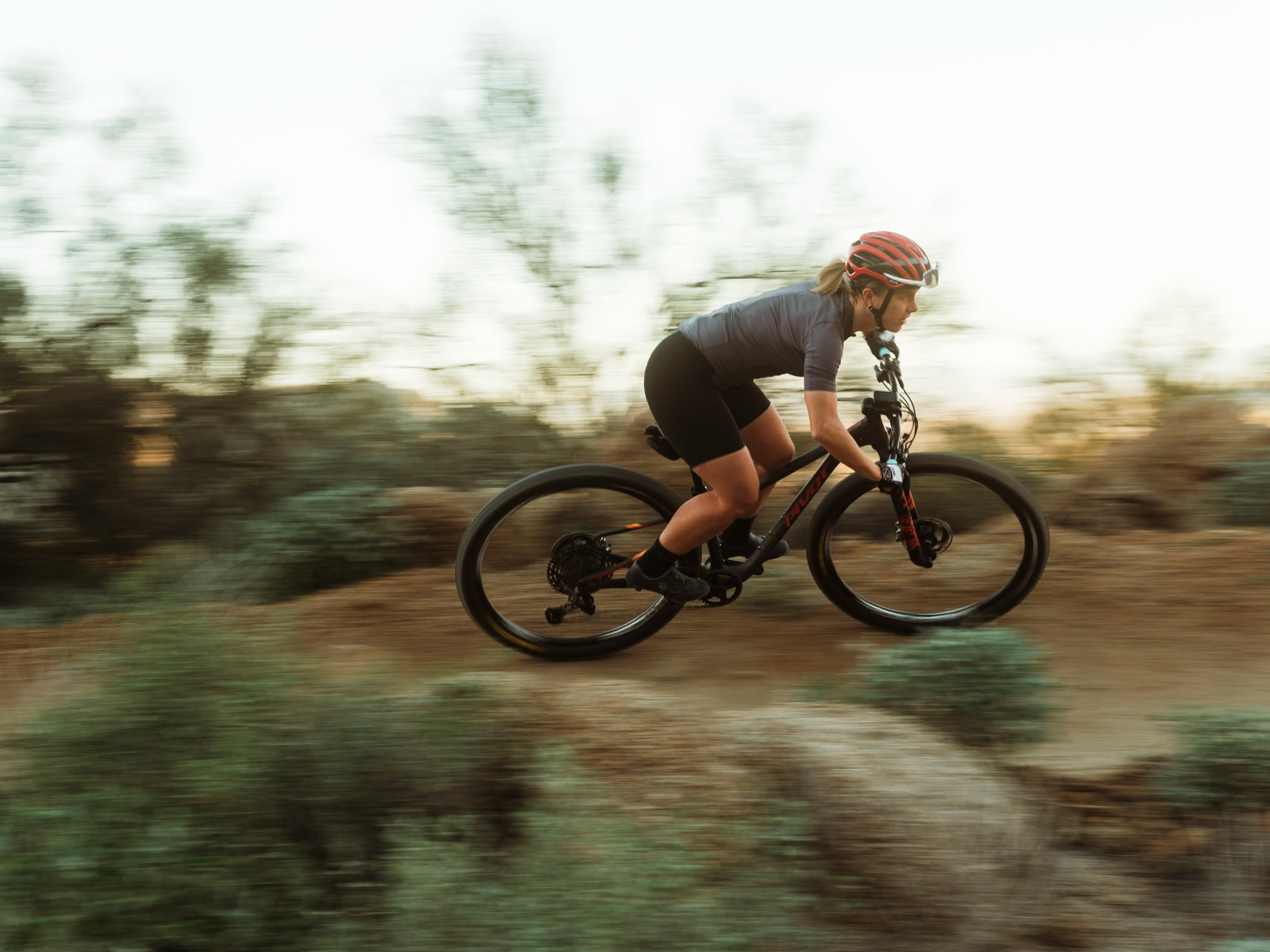 Pivot Les SL Team XX Eagle Transmission hardtail silver bullet - Bilde 5
