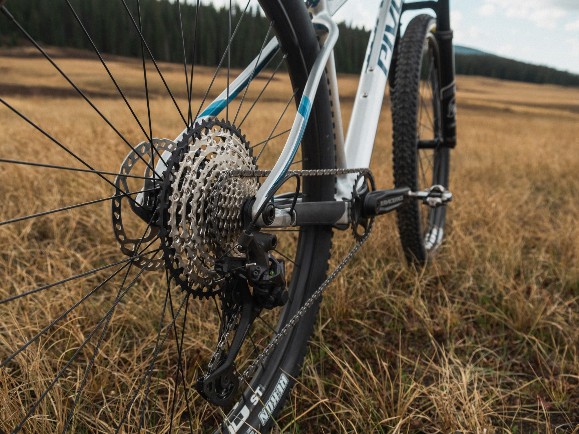 Pivot Les SL Team XX Eagle Transmission hardtail silver bullet - Bilde 11
