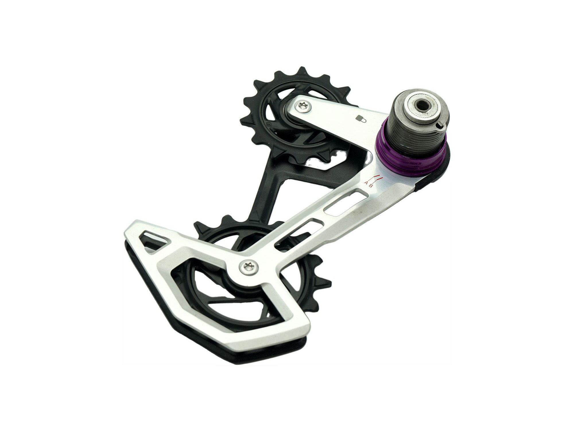 Sram XX T-Type Eagle AXS cage + trinsehjul